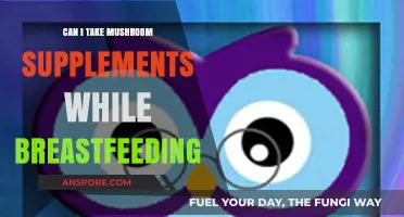 Mushroom Supplements and Breastfeeding: Safe or Risky for New Moms?