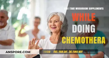 Mushroom Supplements and Chemotherapy: Safe or Risky Combination?