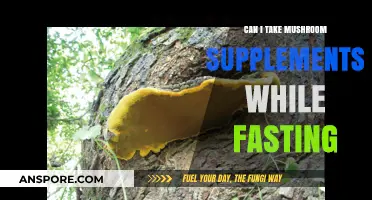 Fasting and Mushroom Supplements: Benefits, Risks, and Best Practices