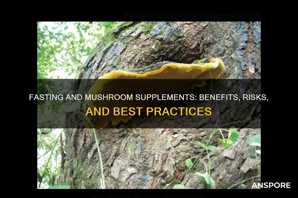 can i take mushroom supplements while fasting