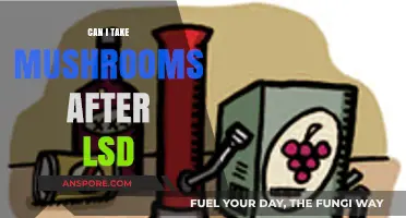 Mixing Mushrooms and LSD: Risks, Effects, and Safe Practices Explained