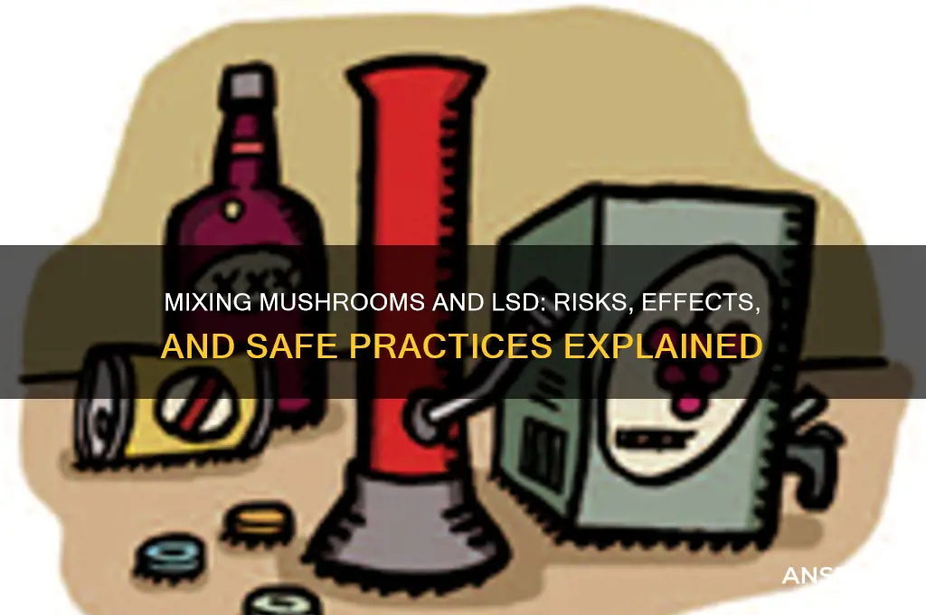 can i take mushrooms after lsd