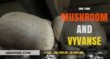 Mushrooms and Vyvanse: Potential Risks and Interactions Explained
