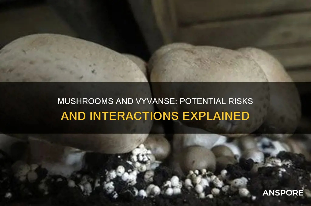 can i take mushrooms and vyvanse