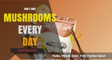 Daily Mushroom Use: Benefits, Risks, and What You Need to Know