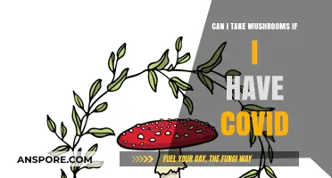 Mushrooms and COVID: Safe Consumption or Risky Combination?