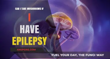Mushrooms and Epilepsy: Safe or Risky for Seizure Management?