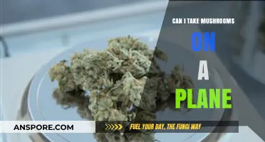 Flying with Fungi: Can You Take Mushrooms on a Plane?