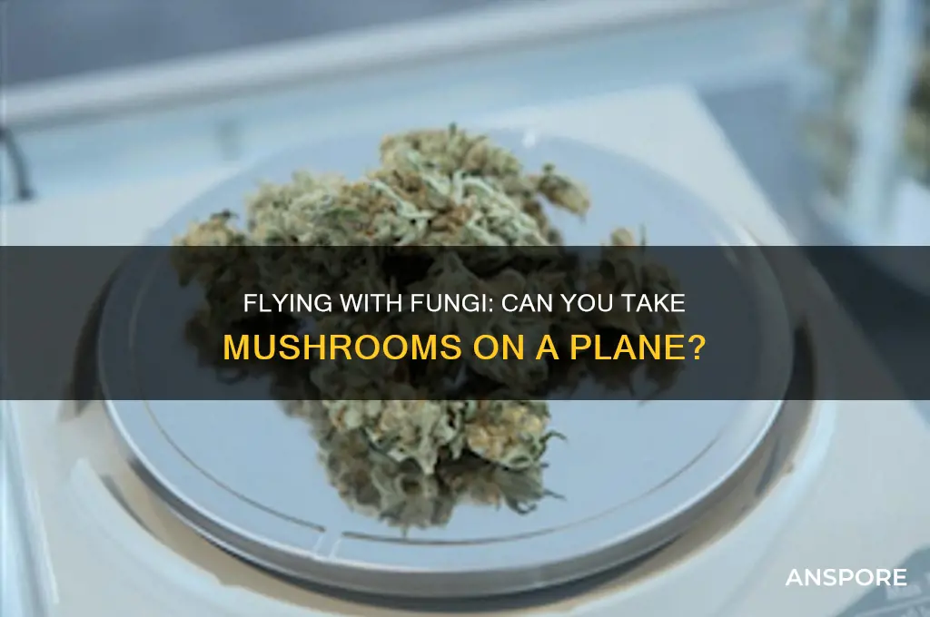 can i take mushrooms on a plane