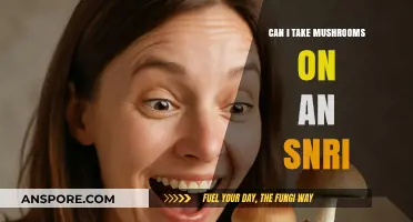 Mushrooms and SNRIs: Safe Combination or Risky Interaction?