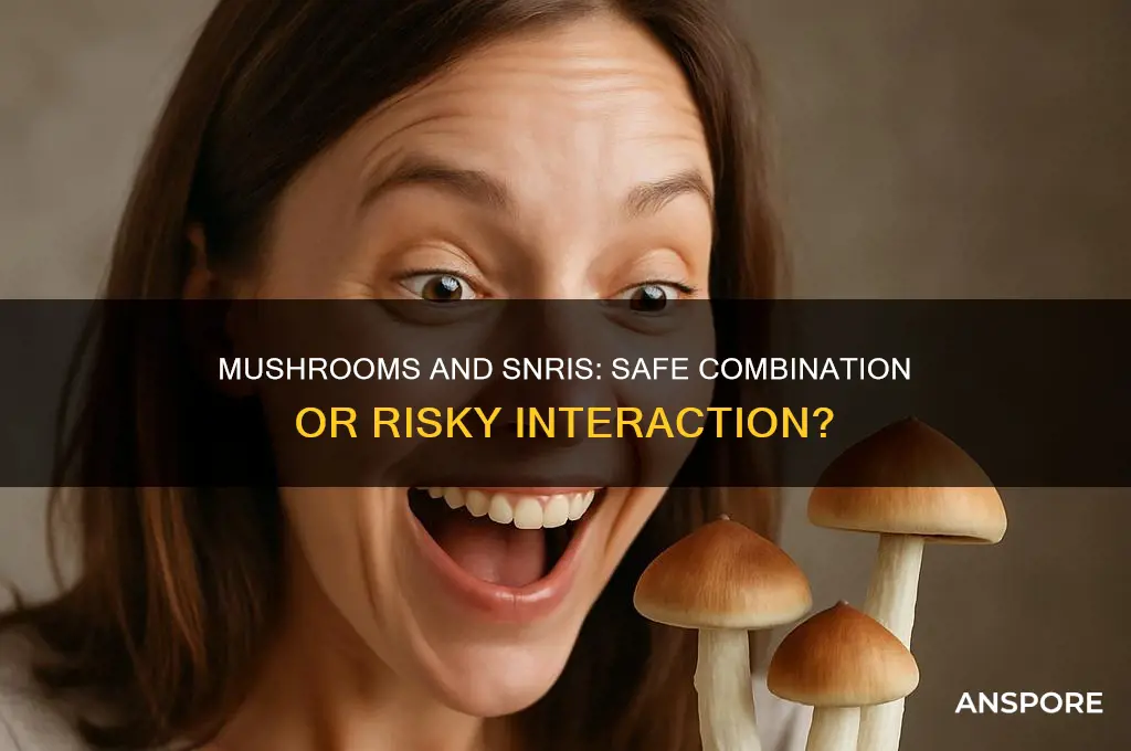 can i take mushrooms on an snri