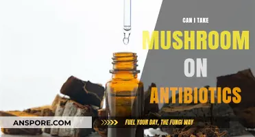 Mushrooms and Antibiotics: Safe to Combine or Risky Interaction?