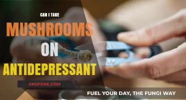 Mushrooms and Antidepressants: Safe Combination or Risky Interaction?