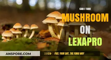 Mushrooms and Lexapro: Safe Combination or Risky Interaction?