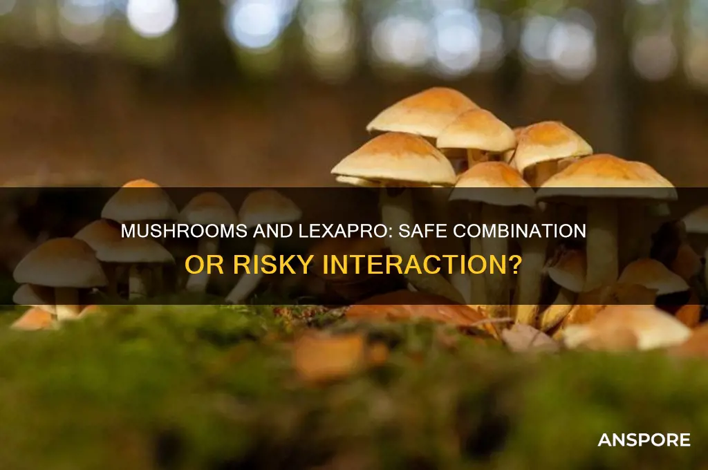 can i take mushrooms on lexapro