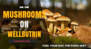 Mushrooms and Wellbutrin: Safe Combination or Risky Interaction?