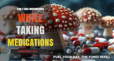 Mushrooms and Medications: Safe to Combine or Risky Interaction?