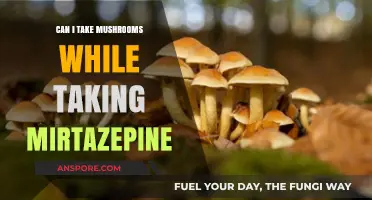 Mushrooms and Mirtazapine: Safe Combination or Risky Interaction?