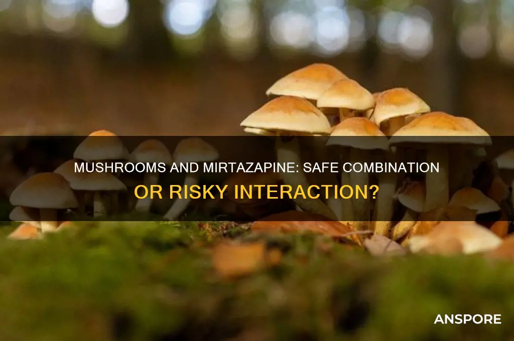 can i take mushrooms while taking mirtazepine