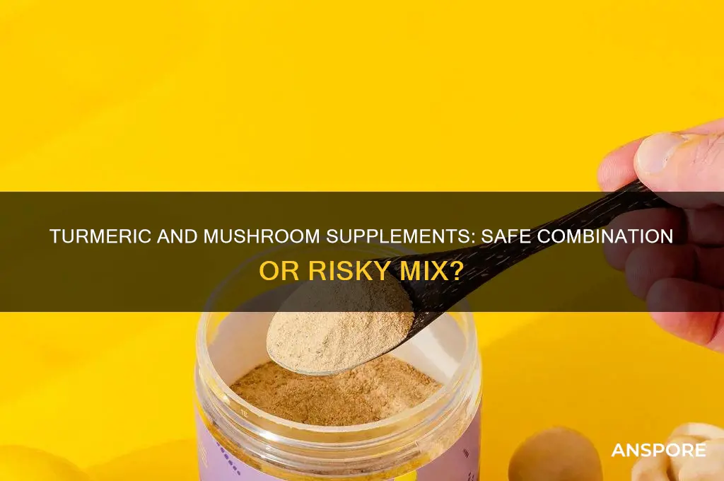 can i take turmeric with mushroom supplements
