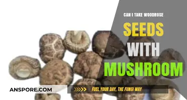 Woodrose Seeds and Mushrooms: Safe Combination or Risky Mix?