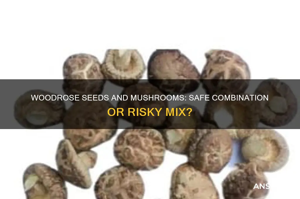 can i take woodrose seeds with mushrooms