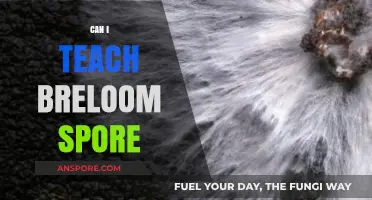 Teaching Breloom Spore: Strategies and Tips for Effective Training