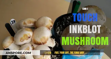 Can You Safely Touch Inkblot Mushrooms? A Quick Guide