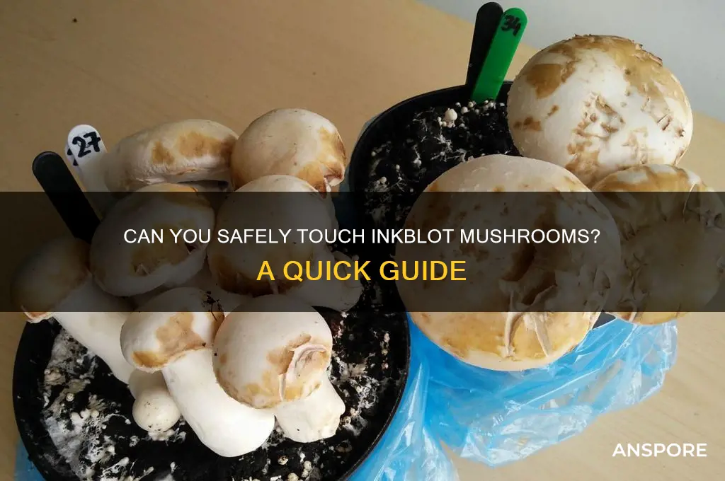 can i touch inkblot mushroom