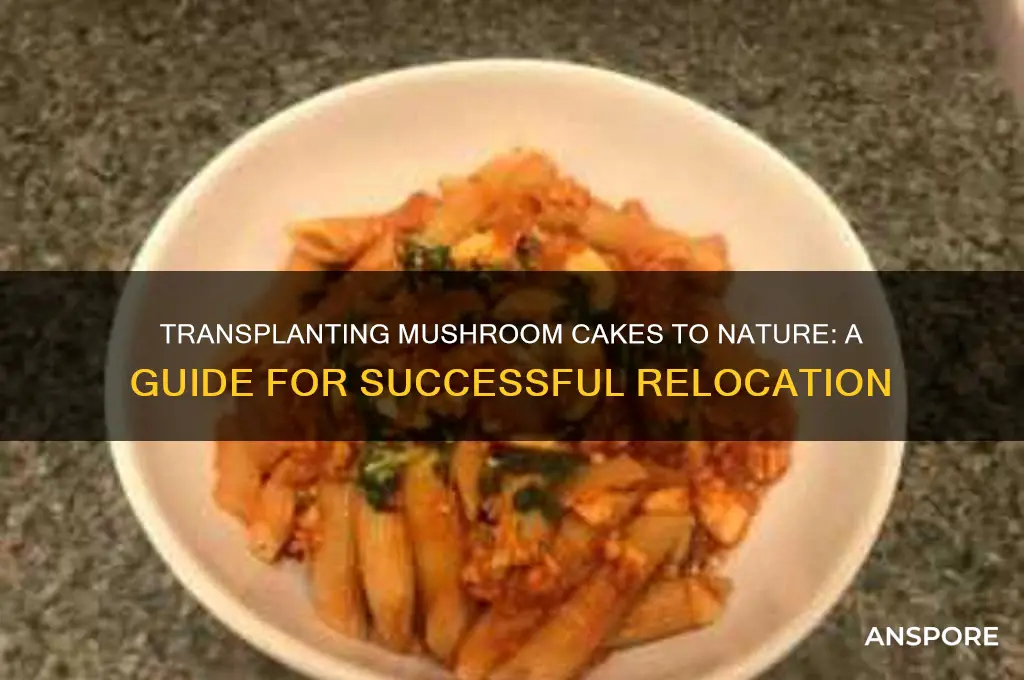can i transplant my mushroom cakes to nature