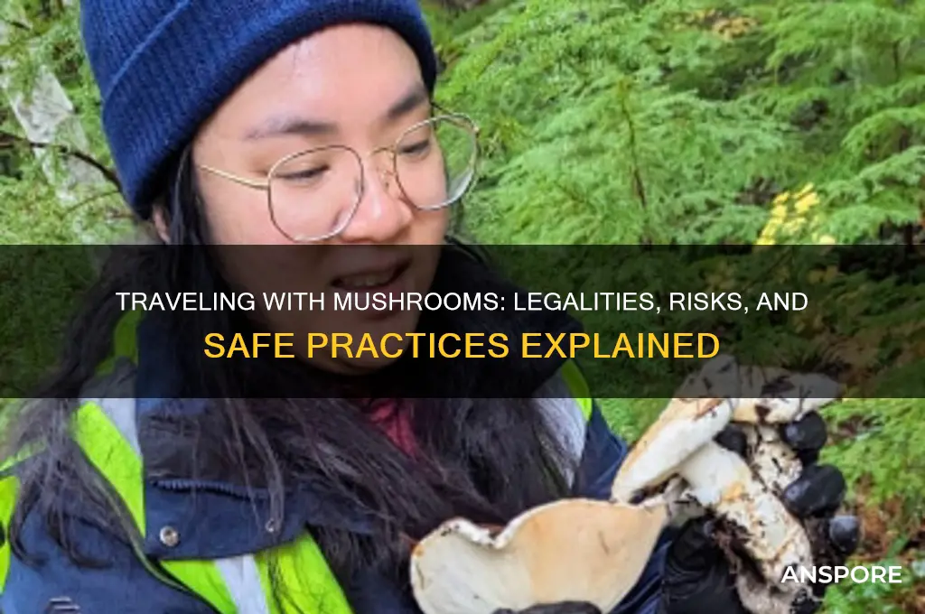 can i travel with mushrooms