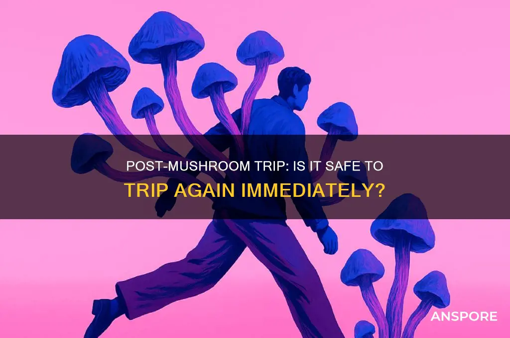 can i trip immediately after a mushroom trip wears off