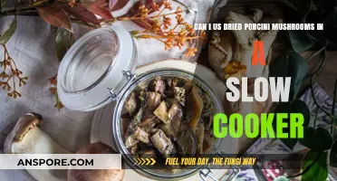 Slow Cooker Magic: Using Dried Porcini Mushrooms for Rich Flavor
