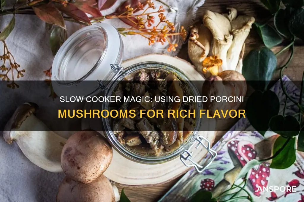 can i us dried porcini mushrooms in a slow cooker