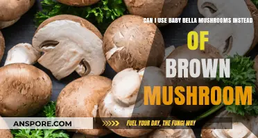 Baby Bella Mushrooms: Perfect Substitute for Brown Mushrooms?