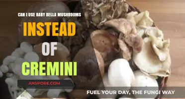 Baby Bella vs. Cremini: Perfect Substitute or Recipe Risk?