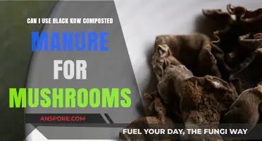 Using Black Kow Composted Manure for Growing Mushrooms: A Guide