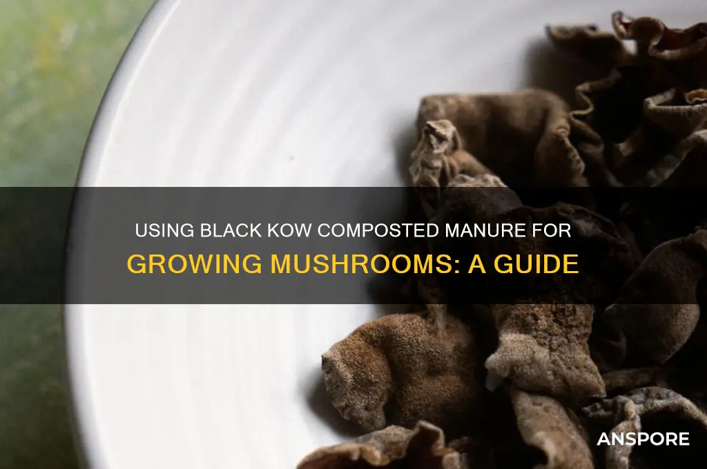 can i use black kow composted manure for mushrooms