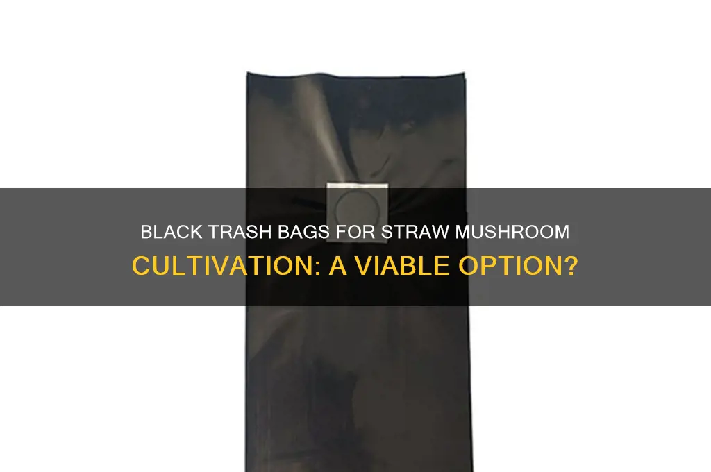 can i use black trashbags for straw mushroom cultivation