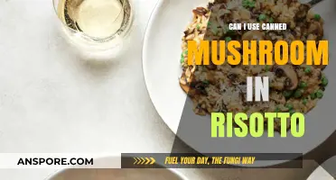 Using Canned Mushrooms in Risotto: Tips and Best Practices