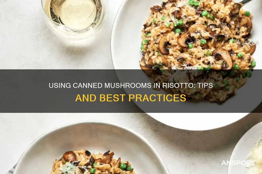 can i use canned mushrooms in risotto