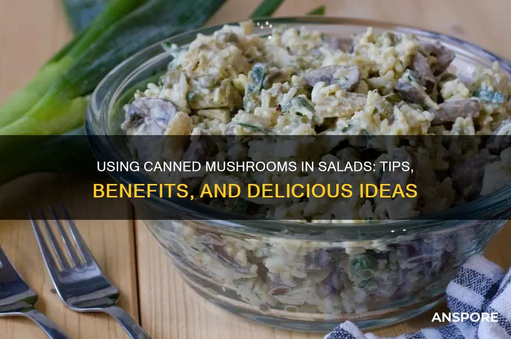 can i use canned mushrooms on a salad