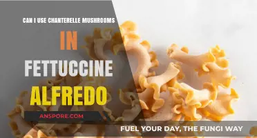 Chanterelle Mushrooms in Fettuccine Alfredo: A Gourmet Twist?