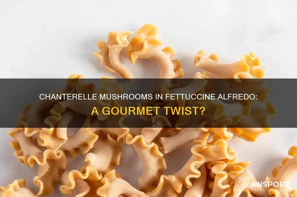 can i use chanterelle mushrooms in fettuccine alfredo