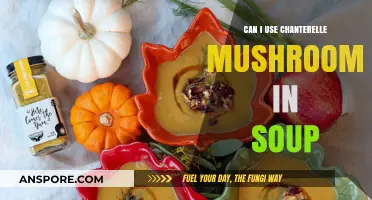 Chanterelle Mushrooms in Soup: A Flavorful and Hearty Culinary Adventure