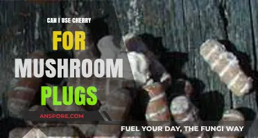 Using Cherry Wood for Mushroom Plugs: Benefits and Best Practices
