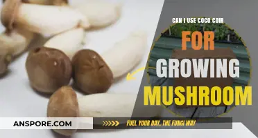 Using Coco Coir for Mushroom Cultivation: Benefits and Best Practices