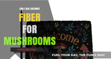 Using Coconut Fiber for Mushroom Cultivation: Benefits and Best Practices