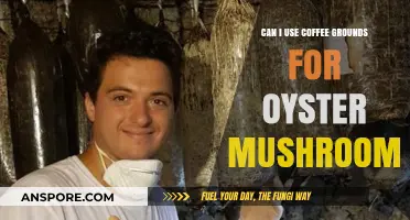 Using Coffee Grounds to Grow Oyster Mushrooms: A Sustainable Guide