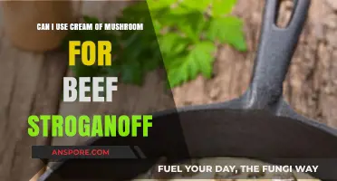 Cream of Mushroom in Beef Stroganoff: A Tasty Shortcut?